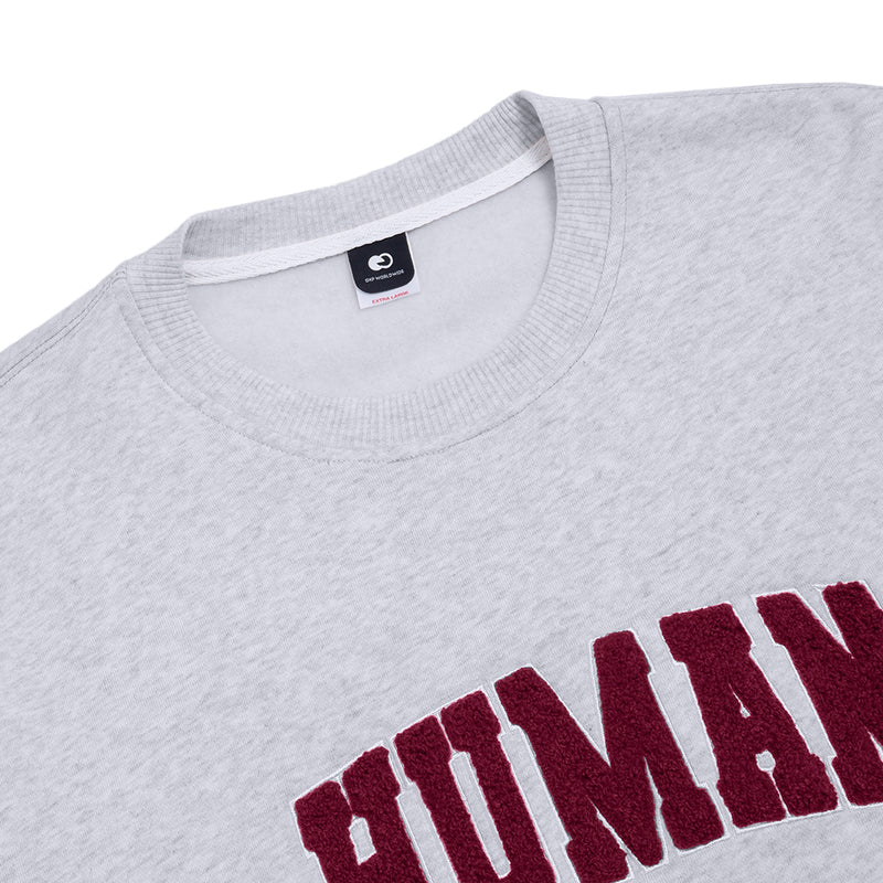 Human Special Sweater - Grey
